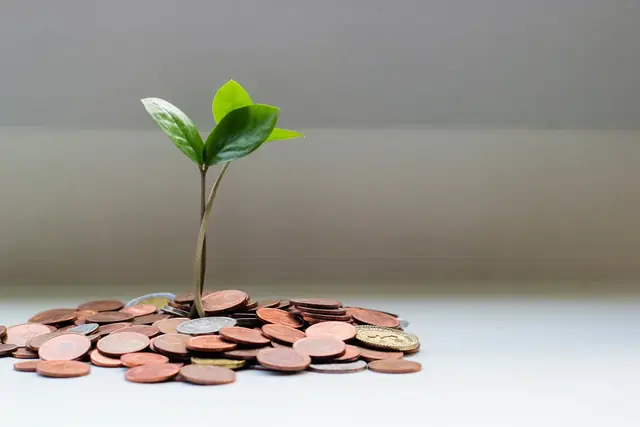 コインと新芽・補助金活用のイメージ